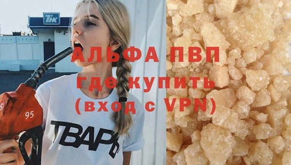 ПСИЛОЦИБИНОВЫЕ ГРИБЫ Белоозёрский