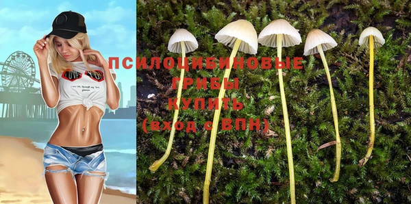 прущая мука Белокуриха