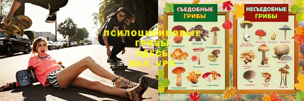 ПСИЛОЦИБИНОВЫЕ ГРИБЫ Белоозёрский