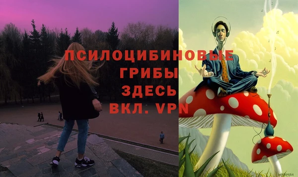 сатива Вуктыл